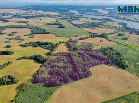 11 Hektarów w gminie Miłki