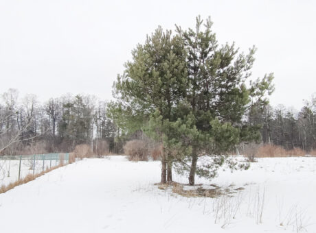 Działka nad kanałem Karwik